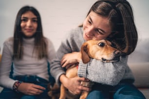 Teenage girls and a dog hang out at home during the holidays