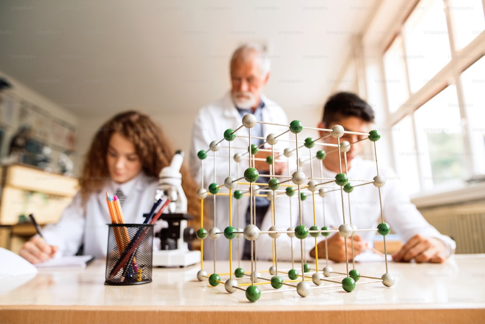 Senior teacher teaching biology to his high school students in laboratory. Modecule model.