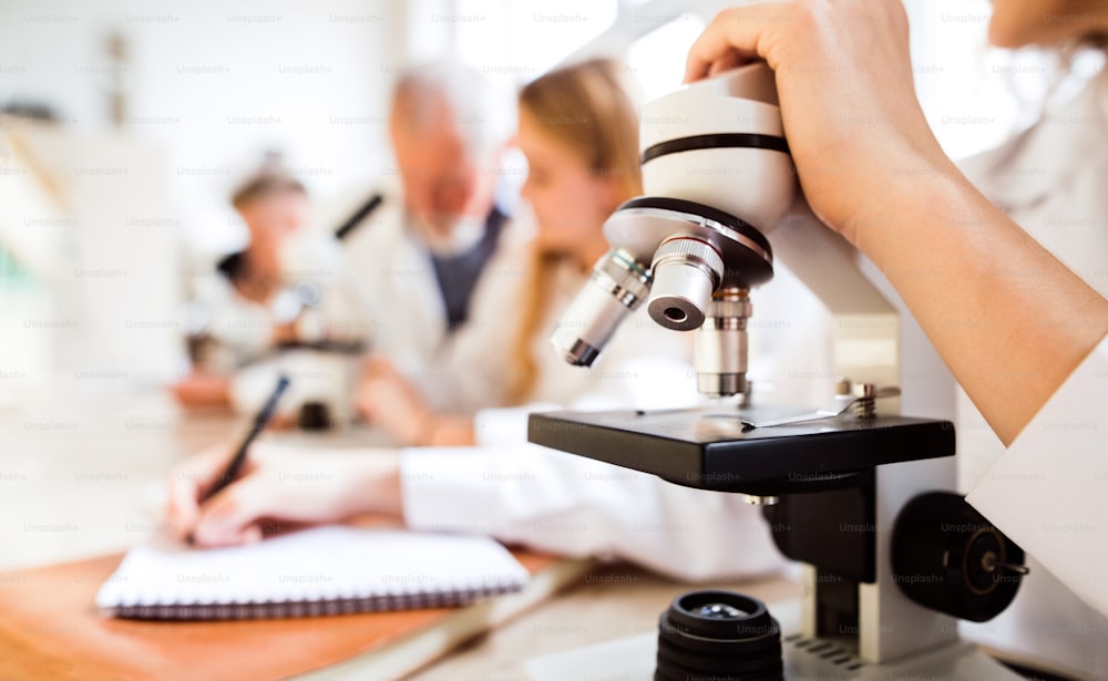 Estudante do ensino médio irreconhecível com microscópio em laboratório durante a aula de biologia.