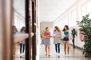 Group of attractive teenage students walking in high school hall during break, talking.