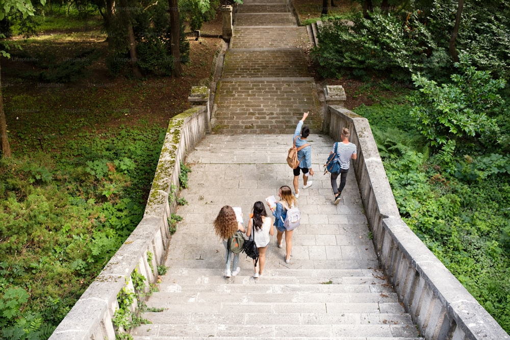 大学の前の石段を歩く魅力的な10代の学生のグループ。