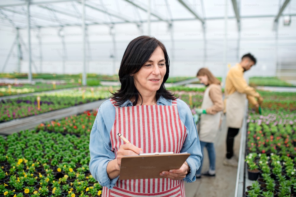 A senior woman with clipboard in greenhouse in garden center, working.