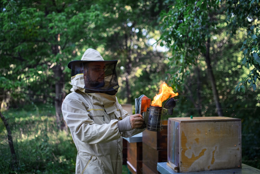 Retrato da vista lateral do apicultor do homem que trabalha no apiário, usando o fumante de abelhas.