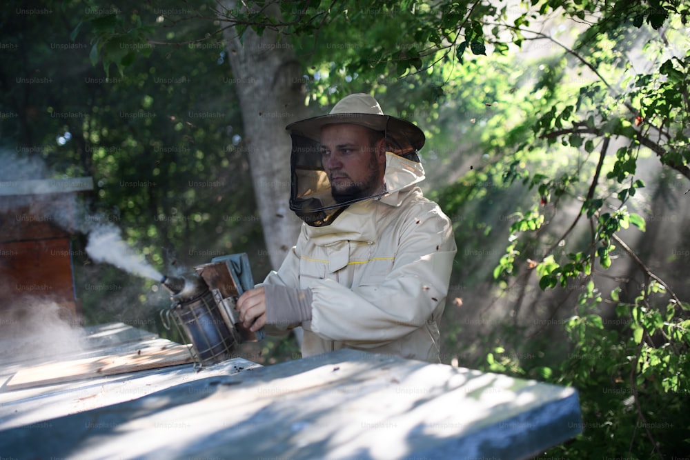 Un ritratto dell'apicoltore che lavora nell'apiario, usando il fumatore di api.