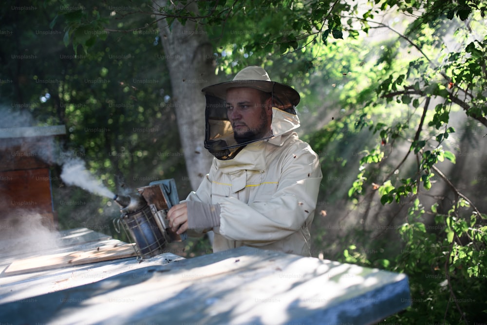 A portrait of man beekeeper working in apiary, using bee smoker.