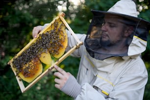 養蜂場でミツバチでいっぱいのハニカムフレームを持ち、働く養蜂家の男性のポートレート。