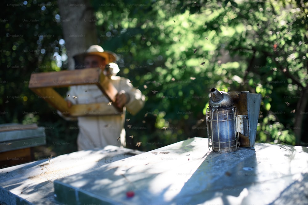 A man beekeeper working in apiary, small business concept.