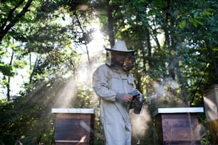 Ein Porträt eines Imkers, der in einem Bienenhaus arbeitet und einen Bienenraucher verwendet.