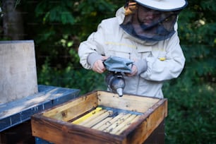 Un retrato del apicultor hombre que trabaja en el colmenar, utilizando un ahumador de abejas.