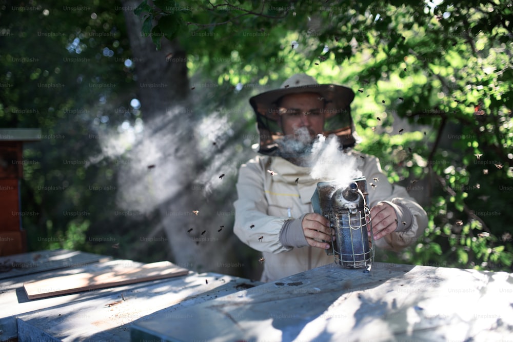 양봉장에서 일하는 남자 양봉가의 초상화, 꿀벌 흡연자를 안고 있다.