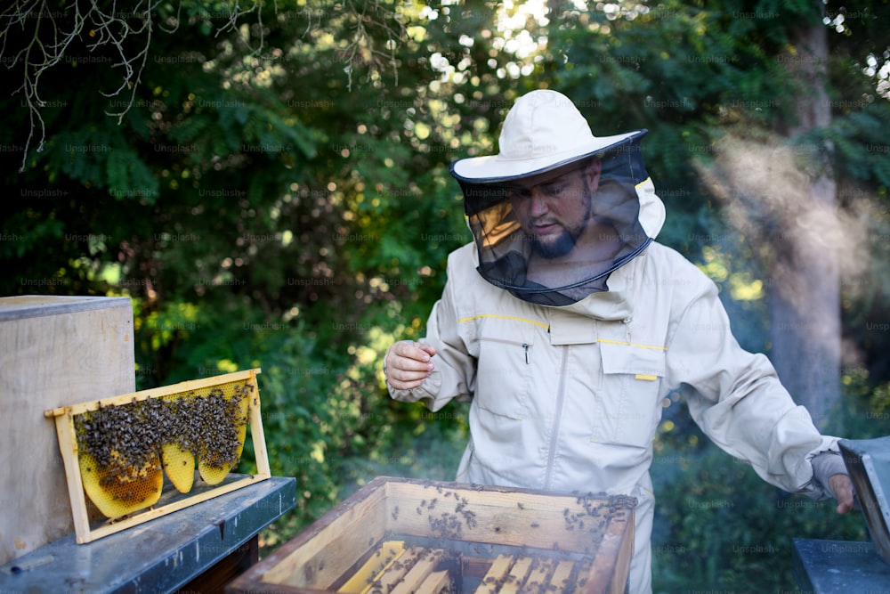 Ritratto frontale dell'apicoltore dell'uomo che lavora nell'apiario.