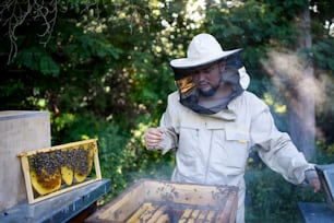 Vue de face portrait d’un apiculteur travaillant dans un rucher.