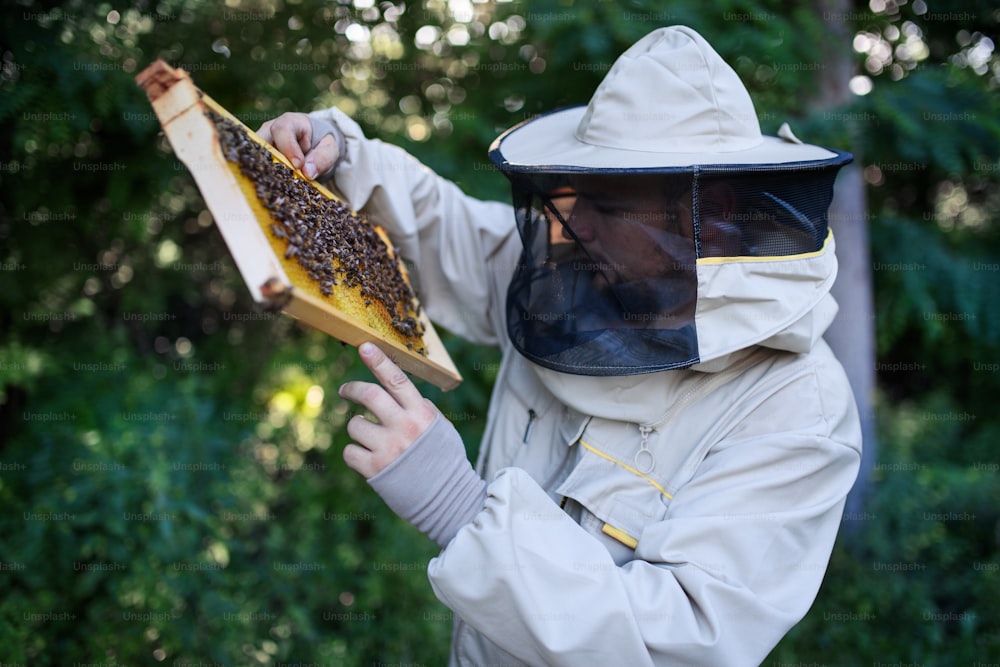 養蜂場でミツバチでいっぱいのハニカムフレームを持ち、働く養蜂家の男性のポートレート、