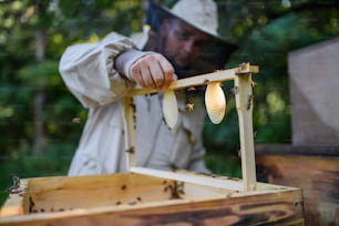 Portrait of man beekeeper holding new honeycomb frame in apiary, working.