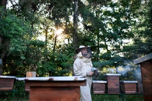 A portrait of man beekeeper working in apiary, using bee smoker.