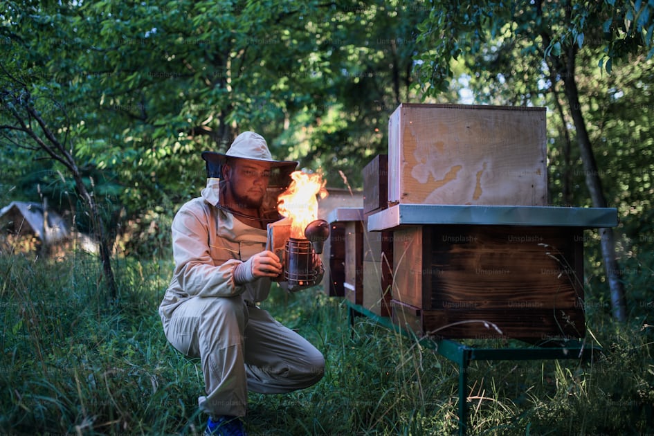 Foto Retrato frontal del apicultor que trabaja en el colmenar, utilizando  un ahumador de abejas. – Disfraz de abeja Imagen en Unsplash