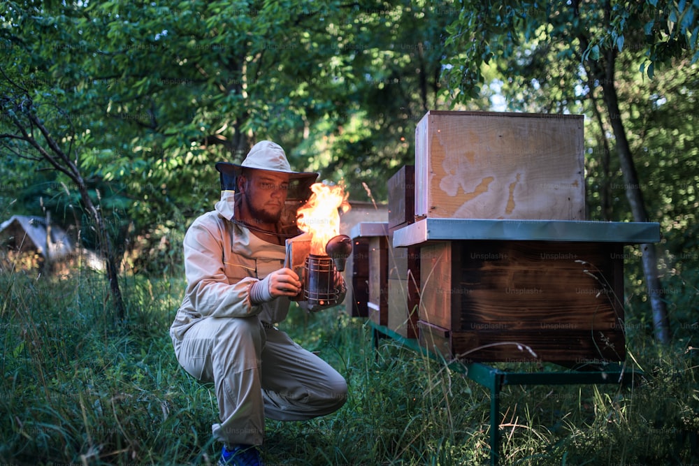 Front view portrait of man beekeeper working in apiary, using bee smoker.