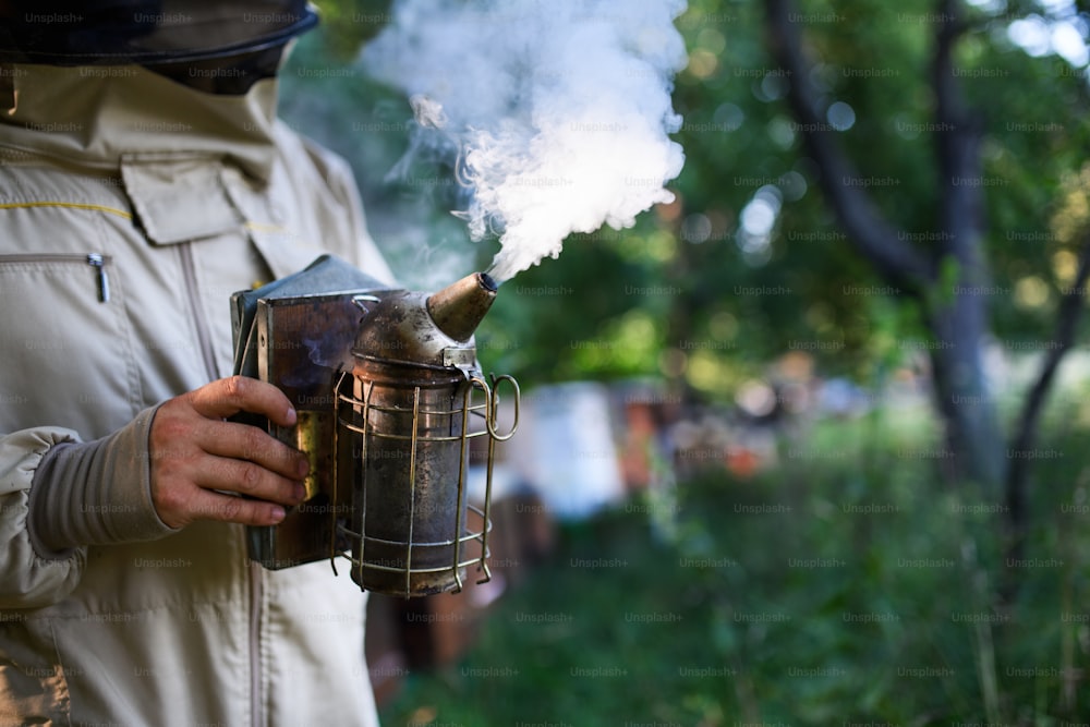 Giovane apicoltore irriconoscibile che lavora in apiario, usando il fumatore di api.