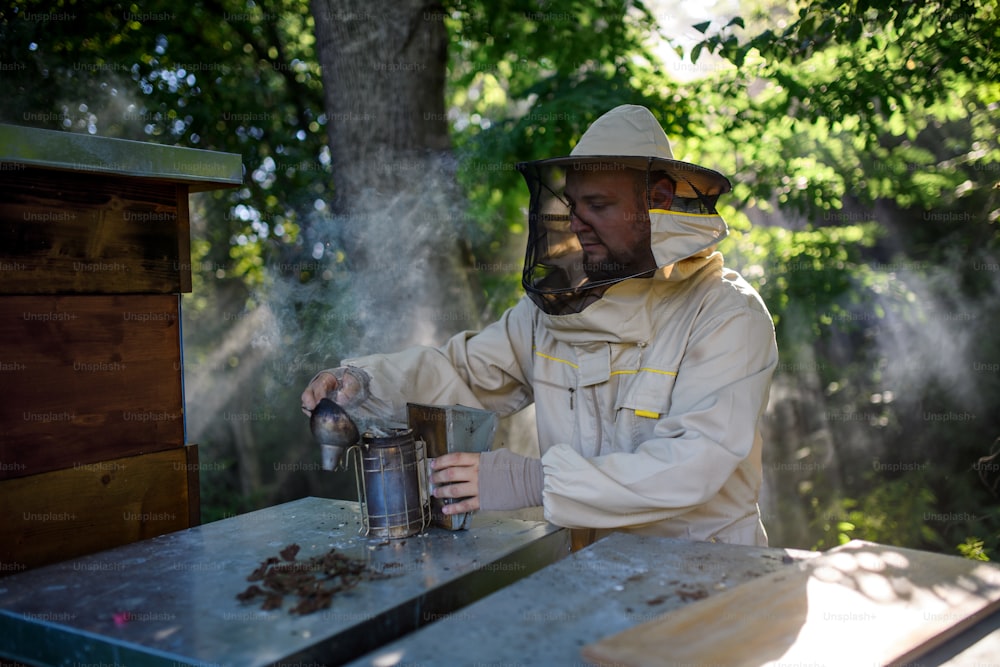 Um retrato do apicultor homem trabalhando em apiário, usando fumante de abelha.