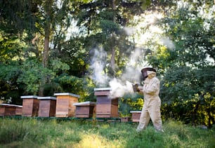 Full length portrait of man beekeeper working in apiary, using bee smoker.