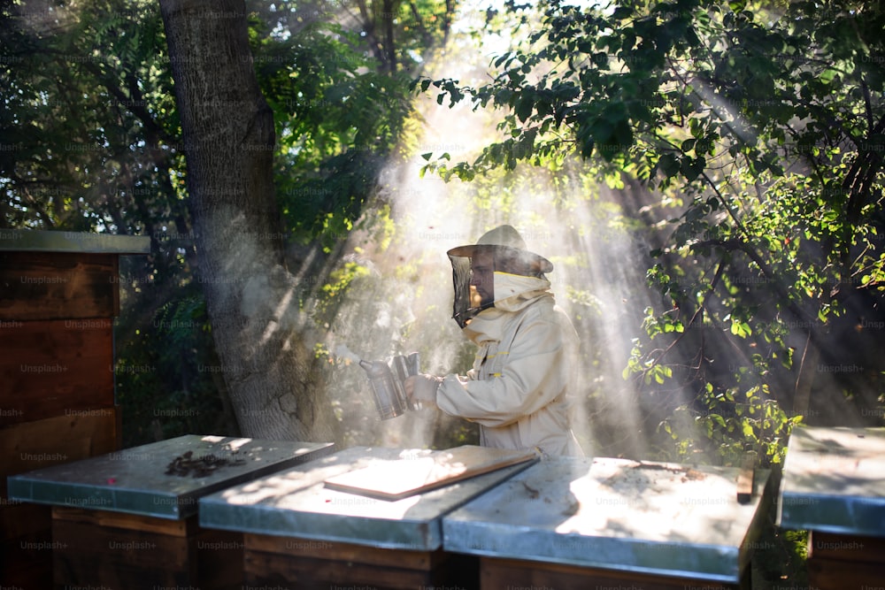 A portrait of man beekeeper working in apiary, using bee smoker.