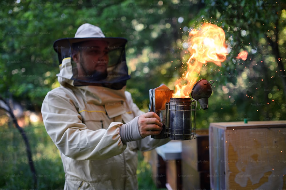 Foto Retrato frontal del apicultor que trabaja en el colmenar, utilizando  un ahumador de abejas. – Disfraz de abeja Imagen en Unsplash