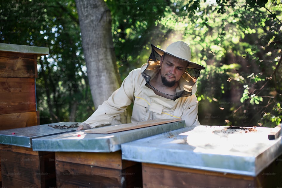 Front view portrait of man beekeeper working in apiary. photo – Adult ...