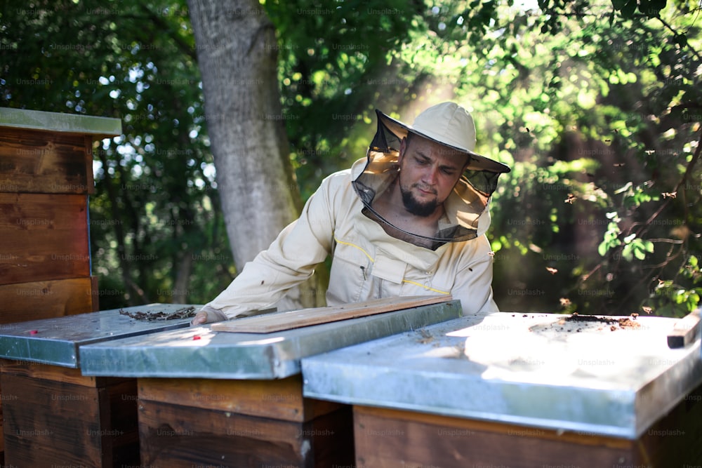 Retrato da vista frontal do apicultor do homem que trabalha no apiário.