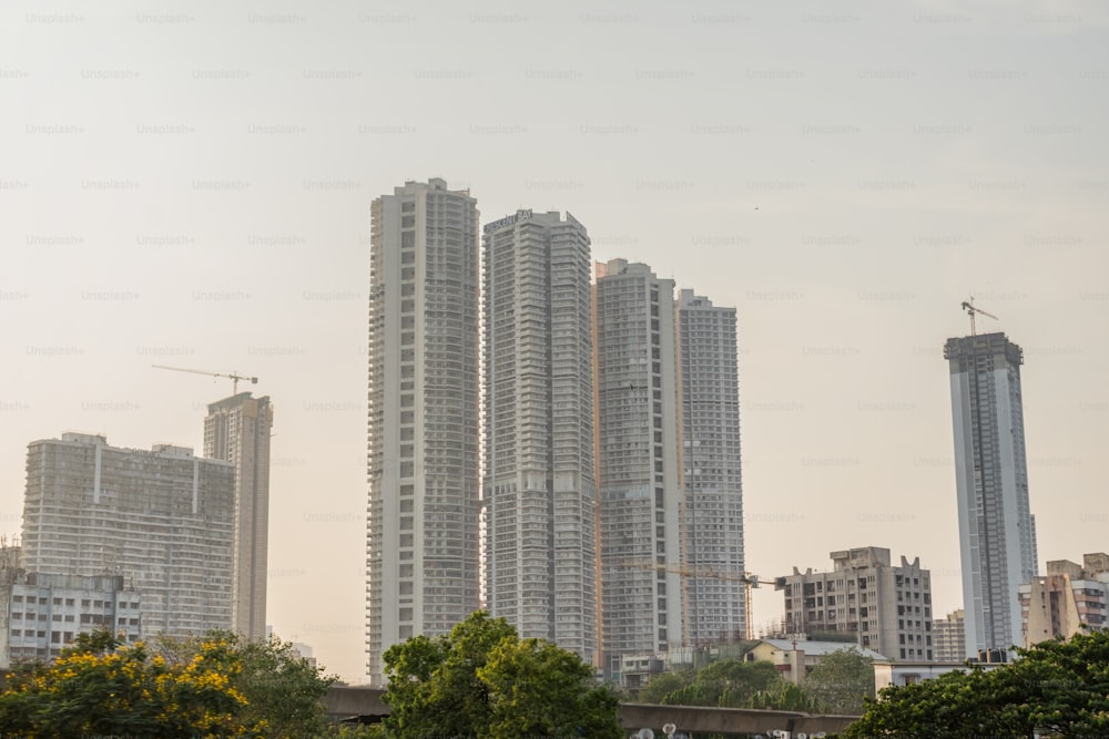 Un gran grupo de edificios altos en una ciudad