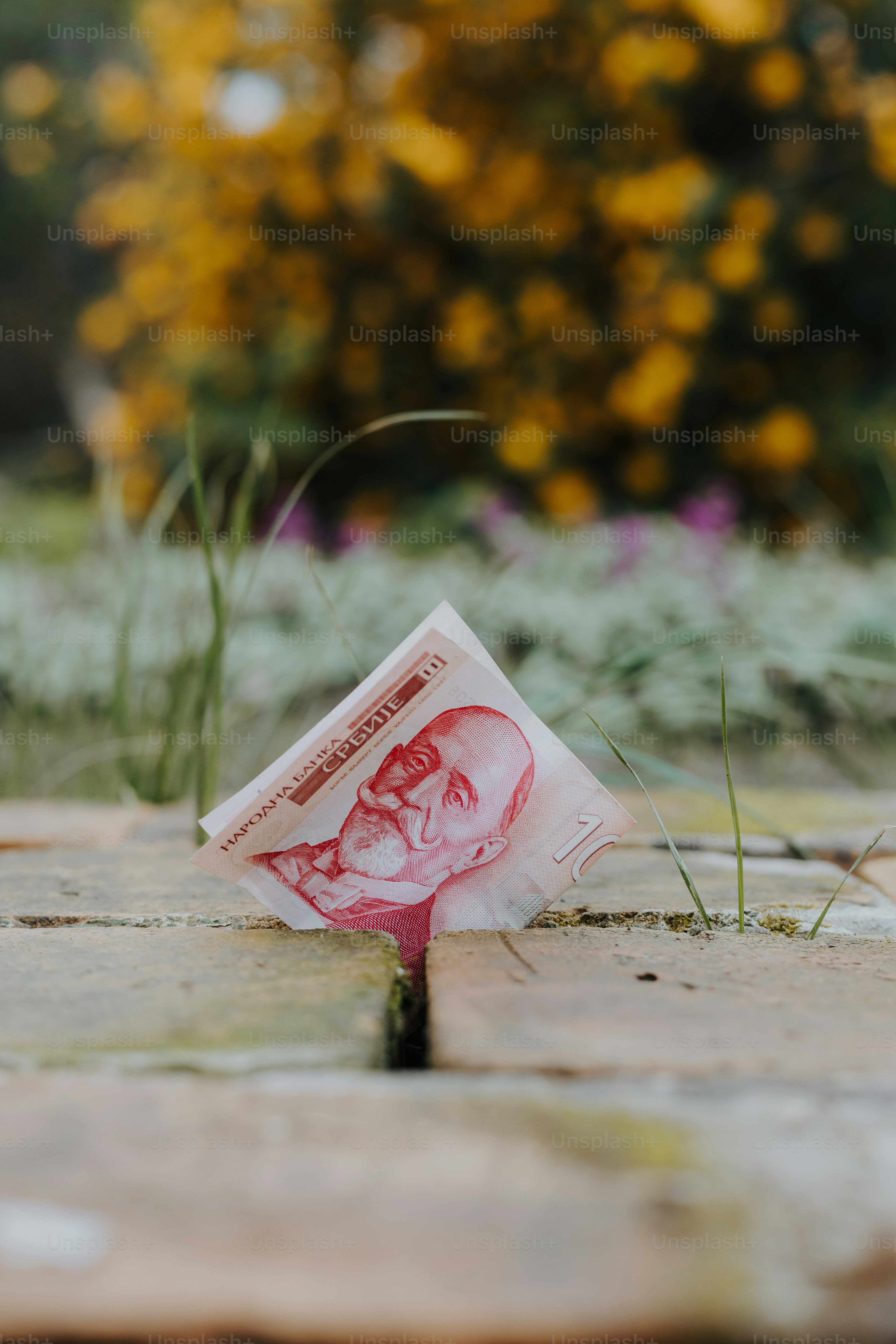 5 Crypto Gems Analysts Say Could 1,000X During the Next Bull Run Cycle