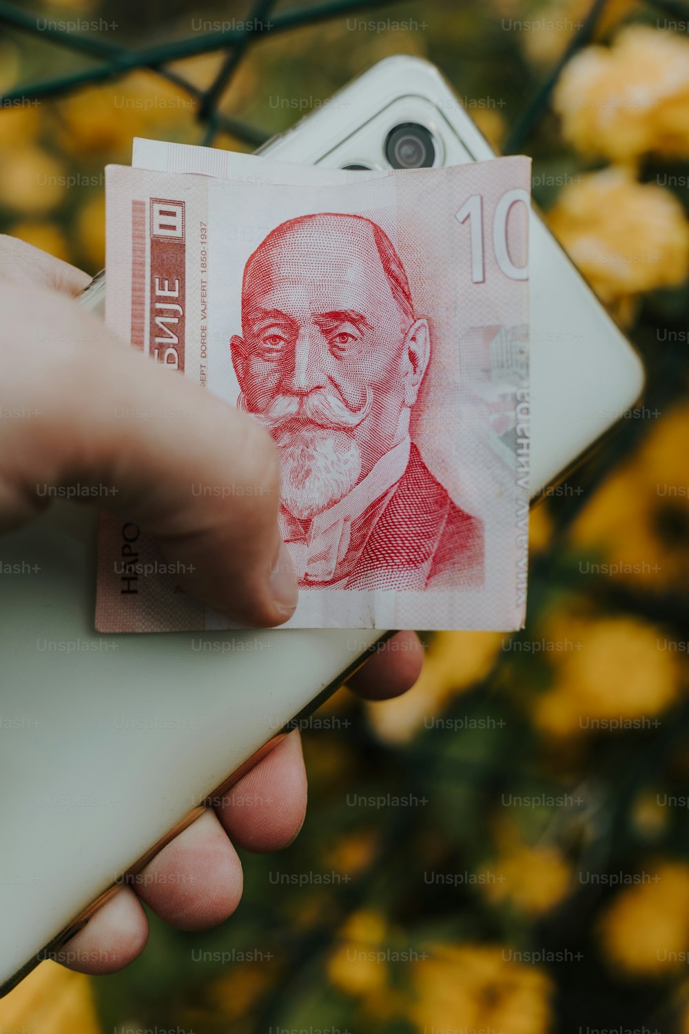 a person holding a money bill in their hand