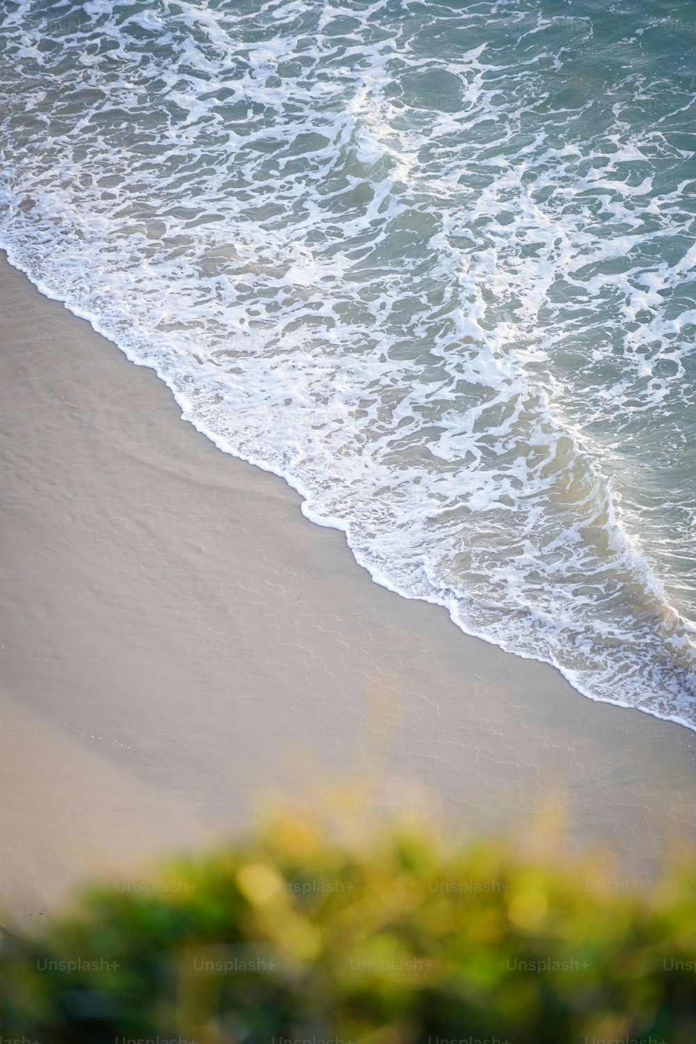 una persona che cavalca una tavola da surf sulla spiaggia