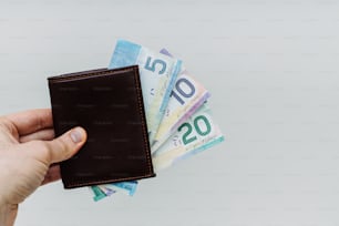 a hand holding a wallet with twenty euros bills in it