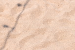 소량의 모래가있는 모래 사장