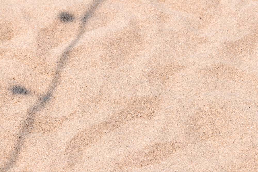 una spiaggia sabbiosa con una piccola quantità di sabbia