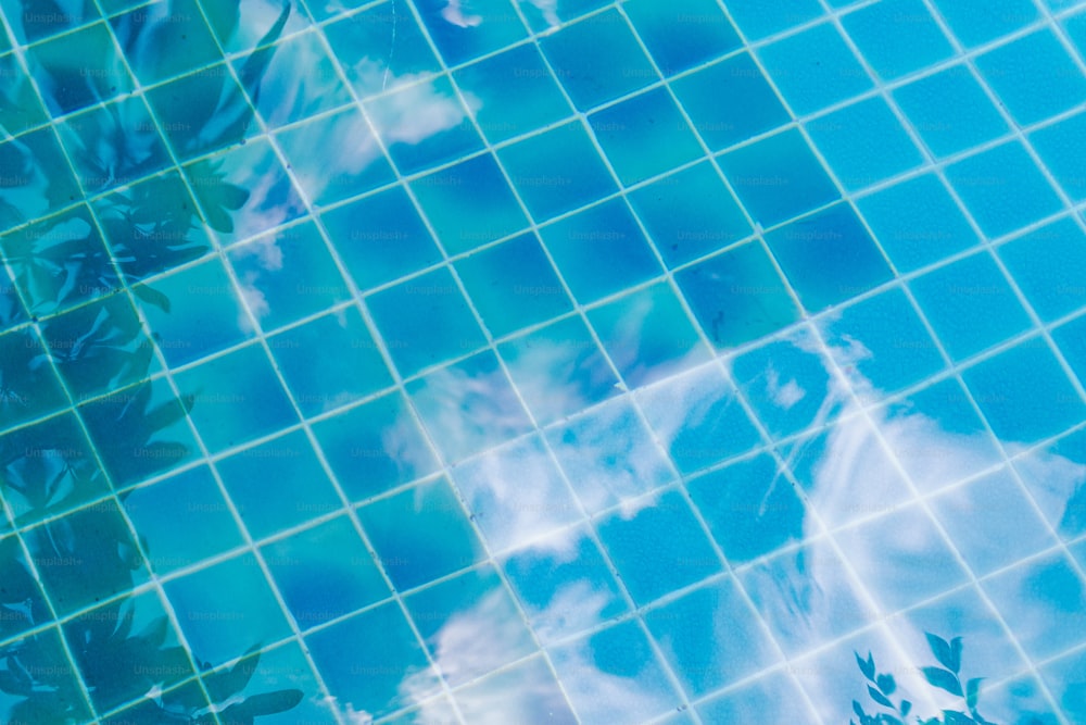 a blue tiled swimming pool with leaves and clouds