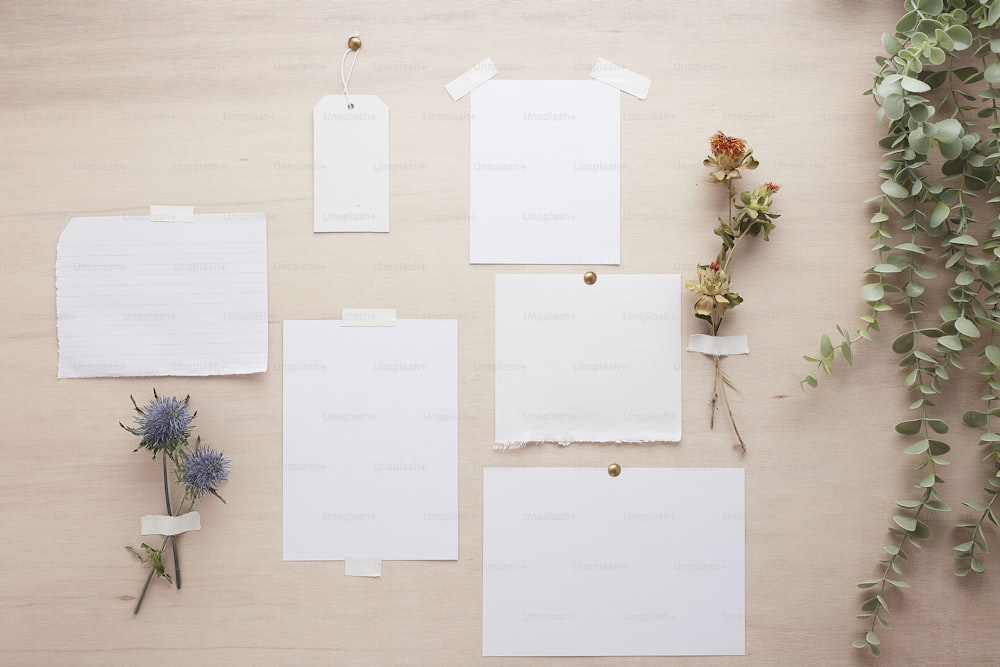 a collection of blank paper and flowers on a table