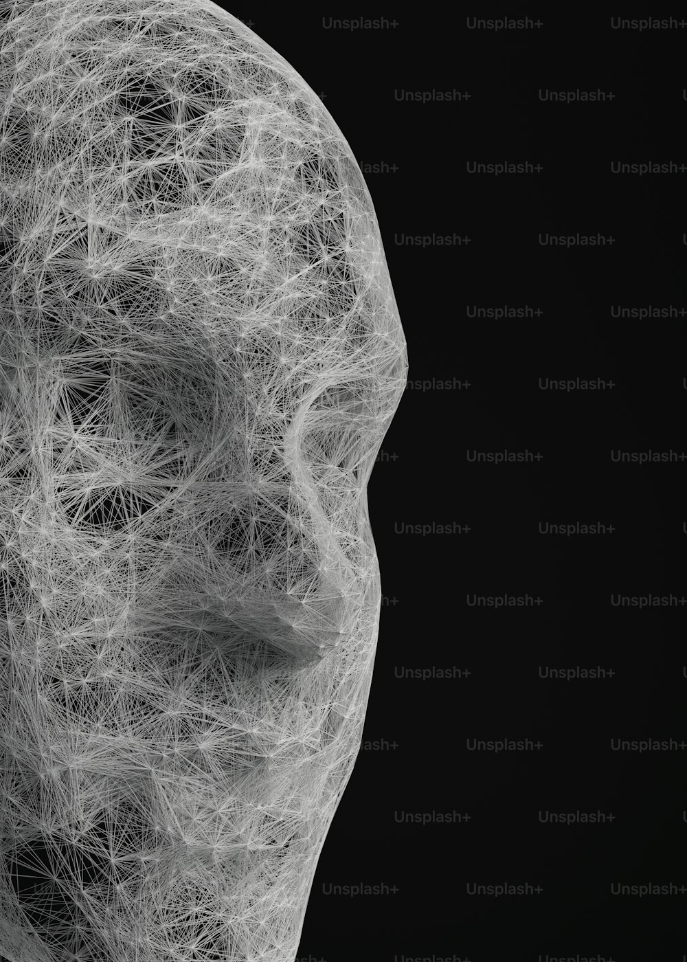 uma foto em preto e branco de uma cabeça humana
