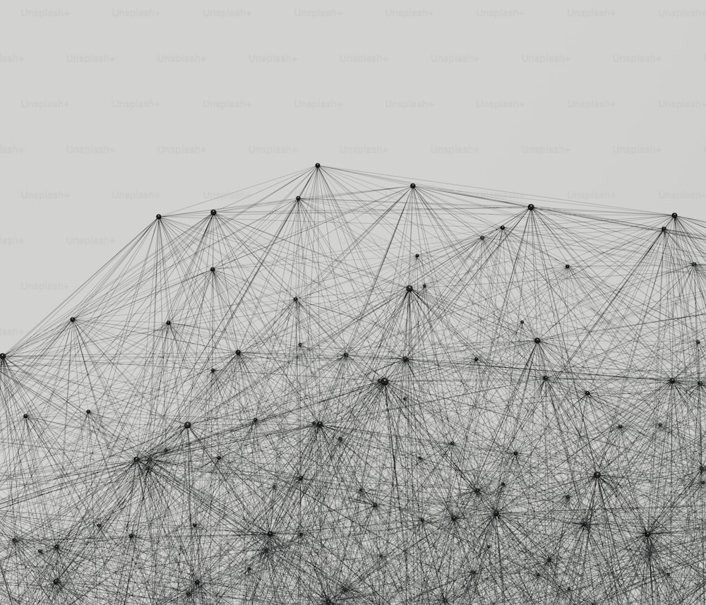 Una foto en blanco y negro de una red de líneas