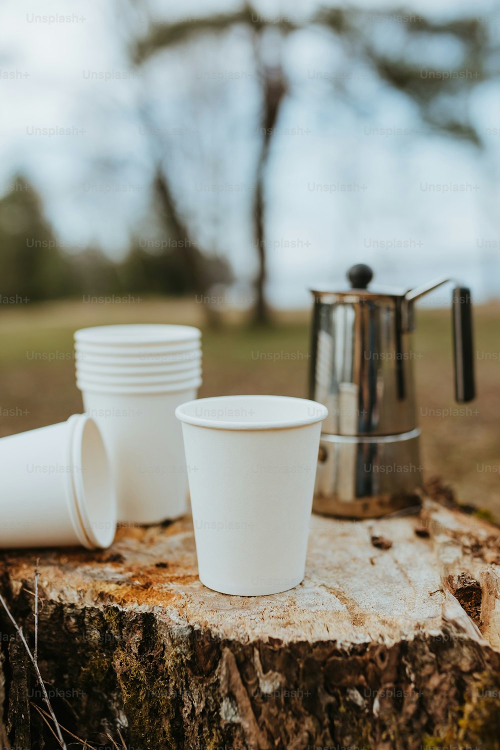 a stack of white cups sitting on top of a tree stump