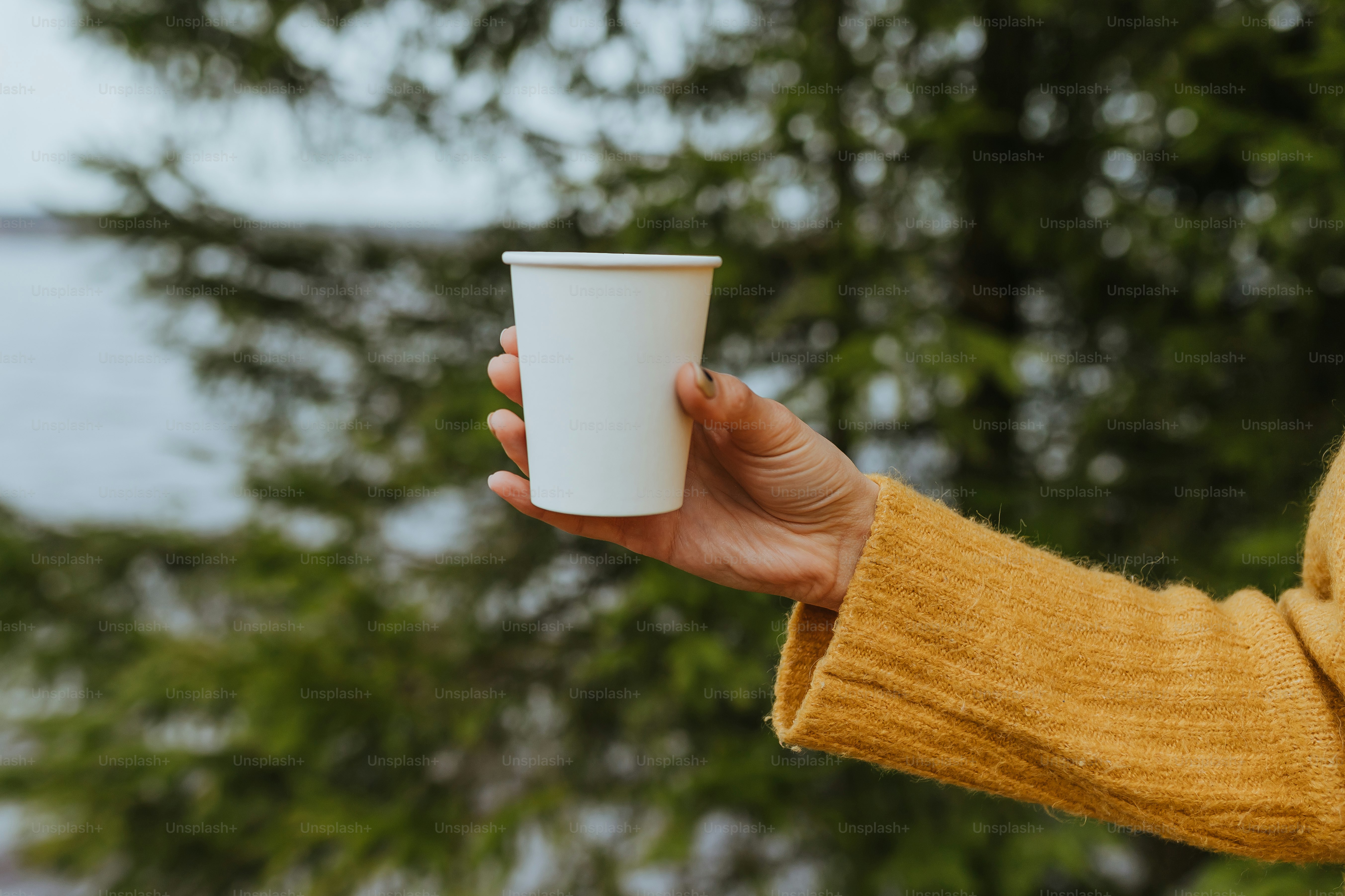seseorang memegang secangkir kopi di tangan mereka