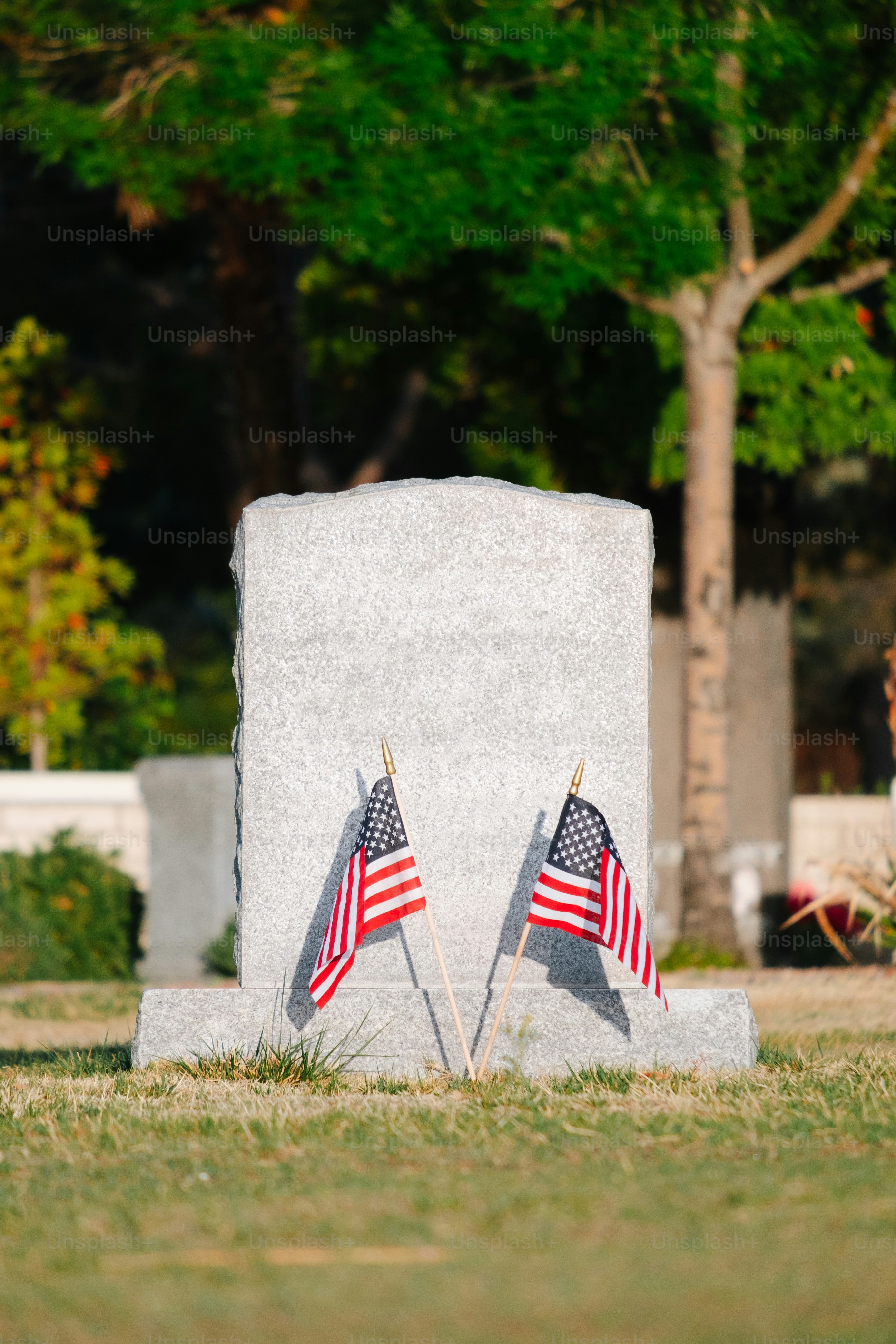 Imágenes de Día De Los Veteranos | Descarga imágenes gratuitas en Unsplash, image size:3000x4500