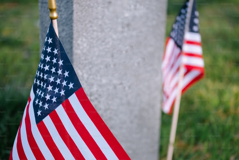 Dos banderas estadounidenses en un poste en la hierba