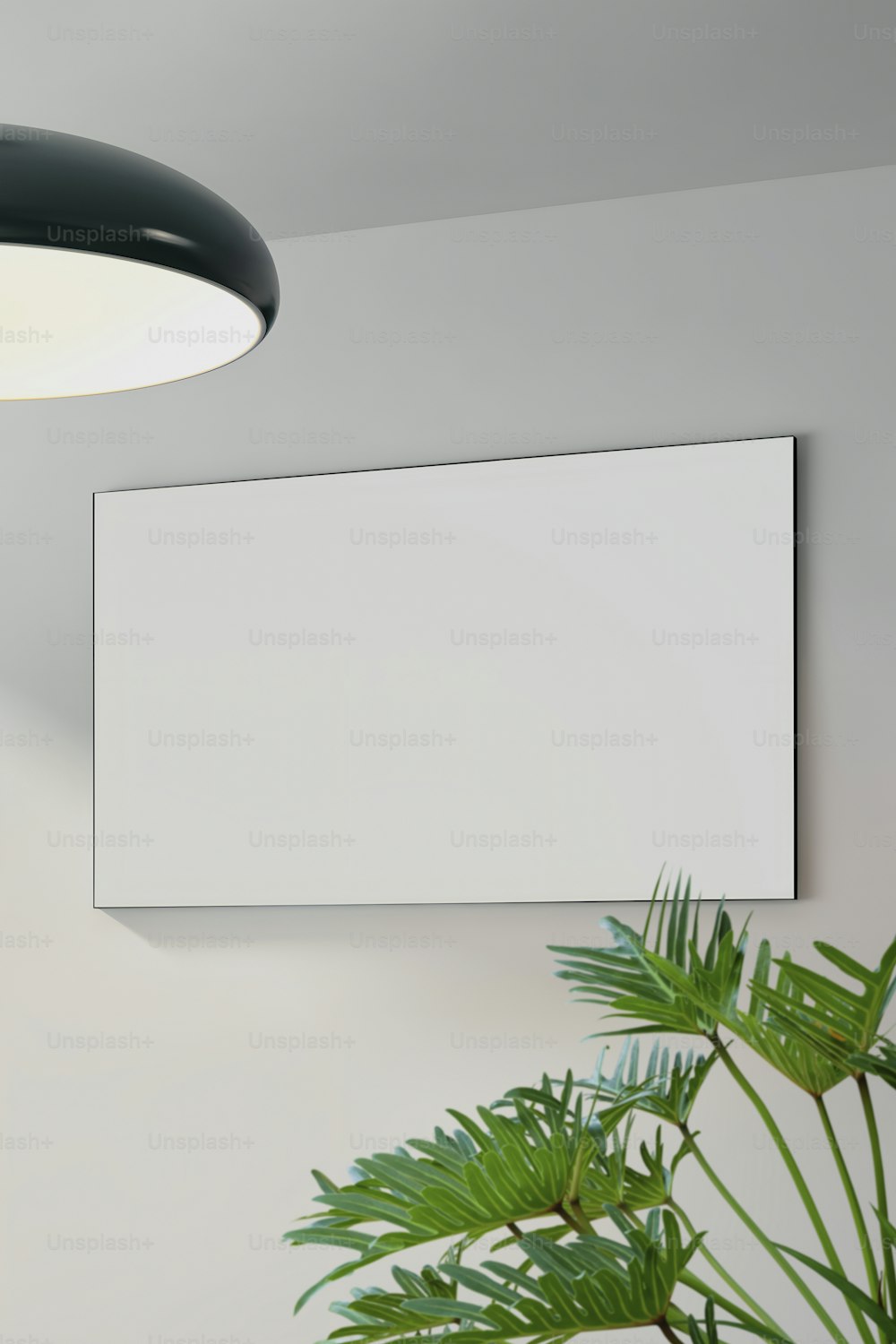 a plant and a white board hanging on a wall