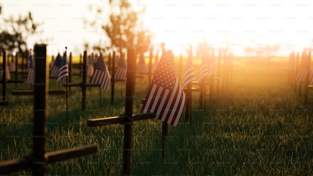 um campo cheio de bandeiras americanas com o sol ao fundo