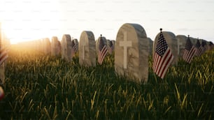 Una fila di tombe con bandiere americane nell'erba
