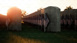 a group of flags that are in the grass