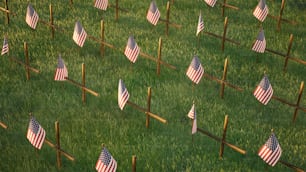 many american flags are placed in a field