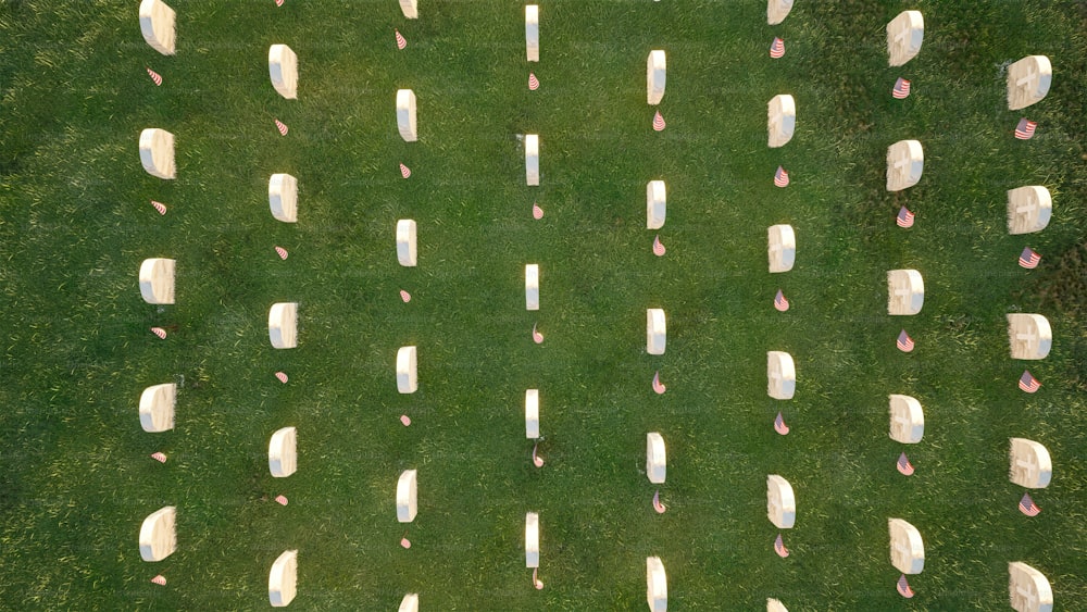 a field full of white tombstones sitting on top of a lush green field