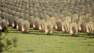 Ein Feld voller Grabsteine mit amerikanischen Flaggen darauf